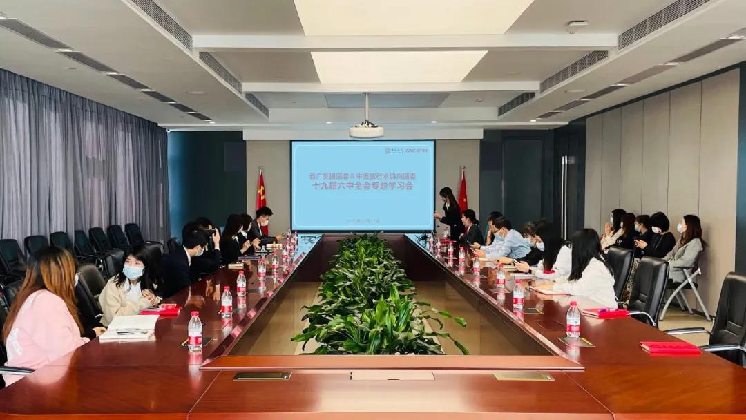 集團(tuán)團(tuán)委深入學(xué)習(xí)貫徹黨的十九屆六中全會(huì)精神 為集團(tuán)奮進(jìn)世界500強(qiáng)匯聚青春力量