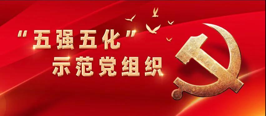 【“五強(qiáng)五化”示范黨組織系列報(bào)道之二】星湖科技技術(shù)中心黨支部：發(fā)揮創(chuàng)新引擎作用，打造“五強(qiáng)五化”示范黨組織