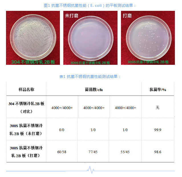 【快訊】廣青科技300系基體長效抗菌不銹鋼實現(xiàn)量產(chǎn)