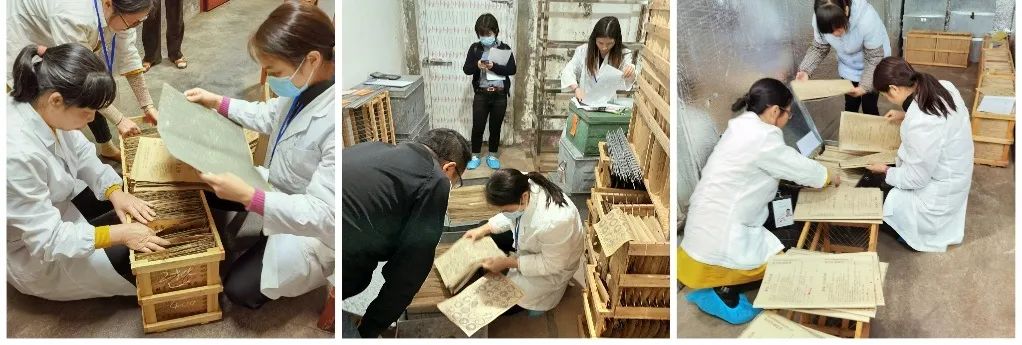 廣東省蠶業(yè)技術(shù)推廣中心開(kāi)展全省春季桑蠶種質(zhì)量監(jiān)督抽查工作 廣東省蠶業(yè)技術(shù)推廣中心開(kāi)展全省春季桑蠶種質(zhì)量監(jiān)督抽查工作