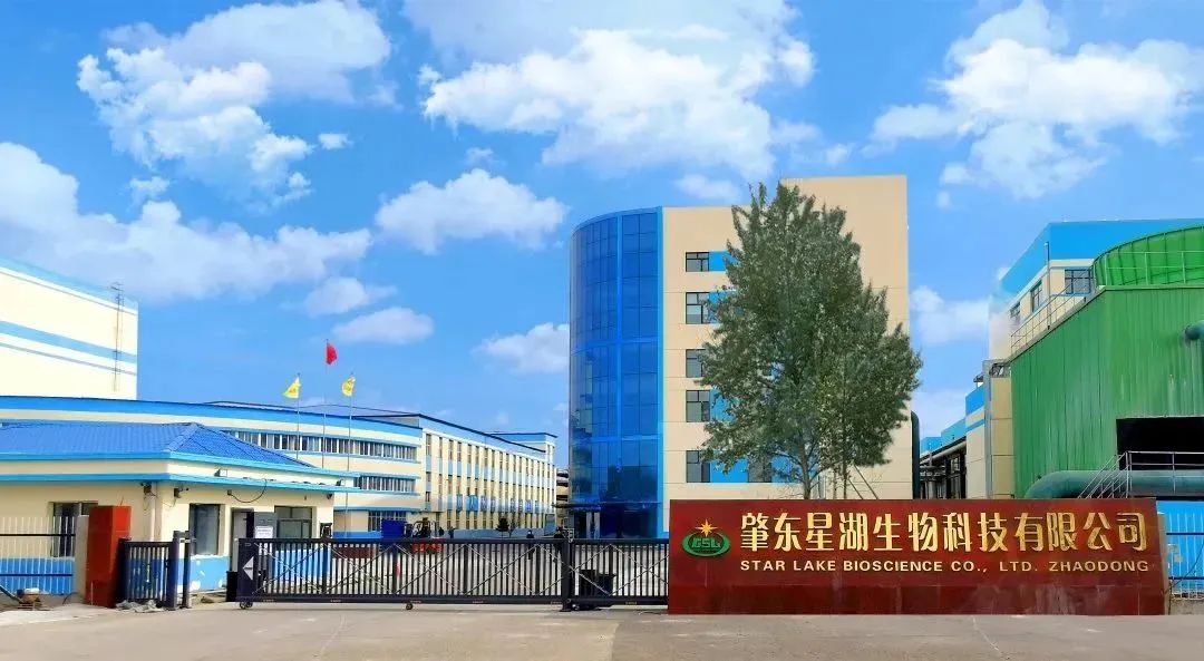廣新集團深入貫徹全省高質(zhì)量發(fā)展大會精神(四) 廣新集團深入貫徹全省高質(zhì)量發(fā)展大會精神(四)