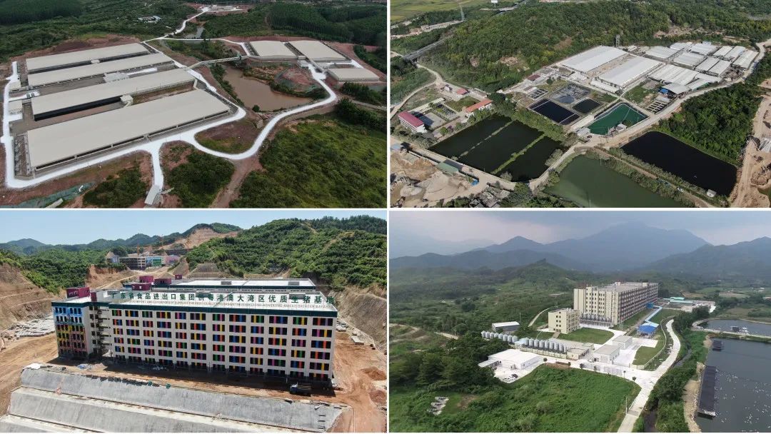廣新集團深入貫徹全省高質量發(fā)展大會精神(六) 廣新集團深入貫徹全省高質量發(fā)展大會精神(六)