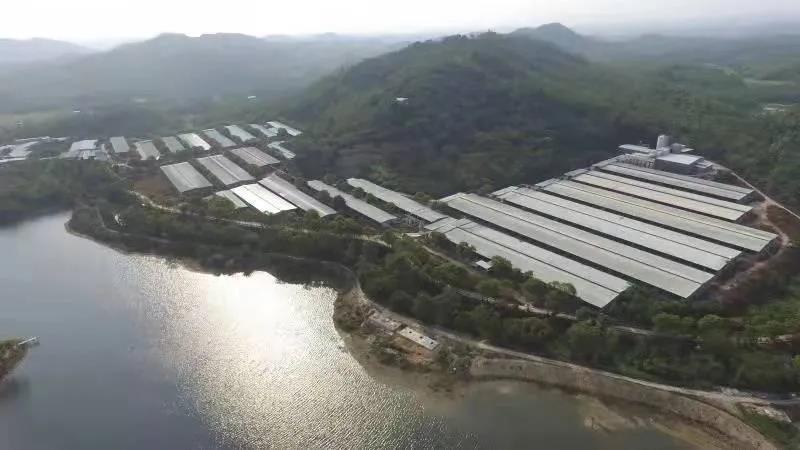 新增6家!廣新集團國家高新技術(shù)企業(yè)達到38家 新增6家!廣新集團國家高新技術(shù)企業(yè)達到38家