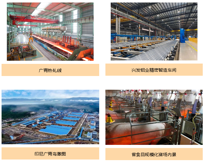 廣新集團(tuán)積極履行社會(huì)責(zé)任 為高質(zhì)量發(fā)展注入新內(nèi)涵 廣新集團(tuán)積極履行社會(huì)責(zé)任 為高質(zhì)量發(fā)展注入新內(nèi)涵
