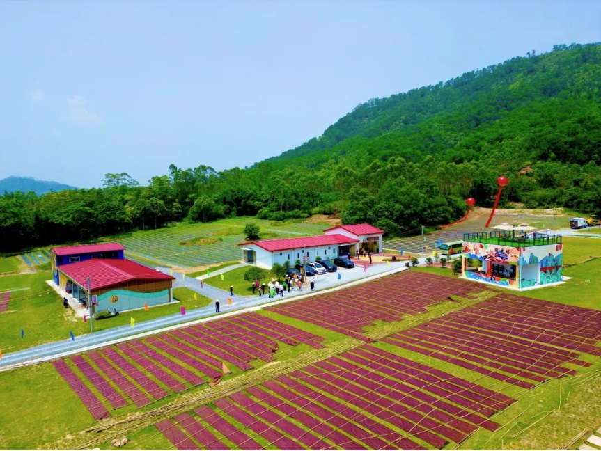 南方農(nóng)村報(bào)報(bào)道:廣新集團(tuán)為和美鄉(xiāng)村注入“源頭活水” 南方農(nóng)村報(bào)報(bào)道:廣新集團(tuán)為和美鄉(xiāng)村注入“源頭活水”