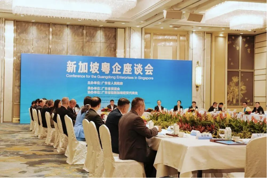 媒體報道 ： 搶抓發(fā)展新機遇，粵新合作躍上新臺階