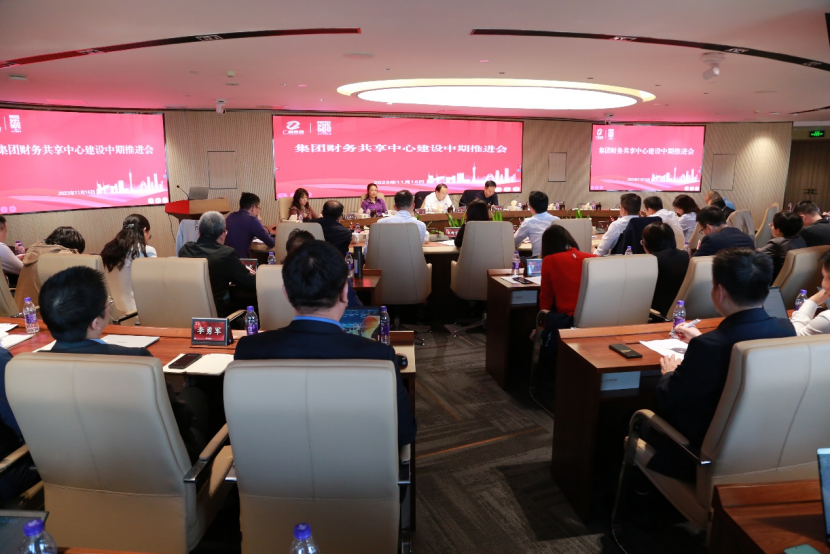 廣新集團召開財務(wù)共享中心建設(shè)中期推進會