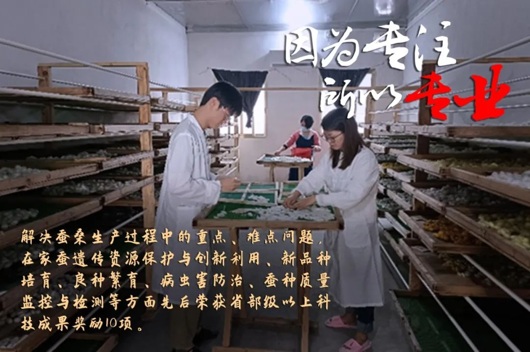 廣新集團(tuán)評(píng)定一批勞模和工匠人才創(chuàng)新工作室