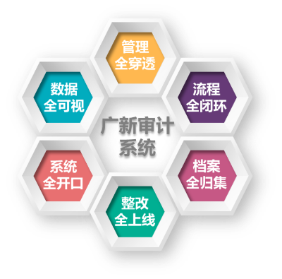 “六全”審計(jì)系統(tǒng).png